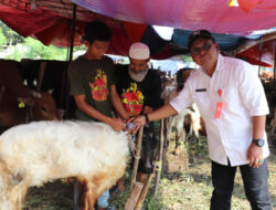 DPKP Kabupaten Tangerang Pastikan Keamanan dan Kesehatan Hewan Kurban Jelang Idul Adha