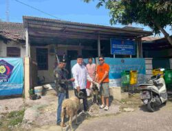 Pemkab Tangerang Bersama DPC KWRI Kabupaten Tangerang Bagikan Hewan Qurban Untuk Masyarakat Membutuhkan