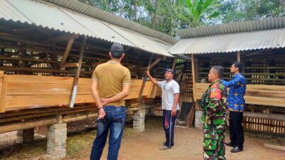 Tingkatkan Ekonomi Masyarakat, Pemdes Ciharashas Salurkan Bantuan Kambing