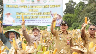 Pj Bupati Andi Ony Panen Jagung Dan Resmikan Cluster Benih Jagung di Desa Dangdang Cisauk