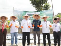 Pj Bupati Tangerang Tanam Bersama Project Demplot Budidaya Hortikultura
