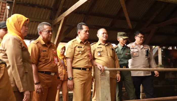 Pastikan Hewan Kurban Sehat Dan Layak, Pj Bupati Kunjungi Lapak Hewan Kurban