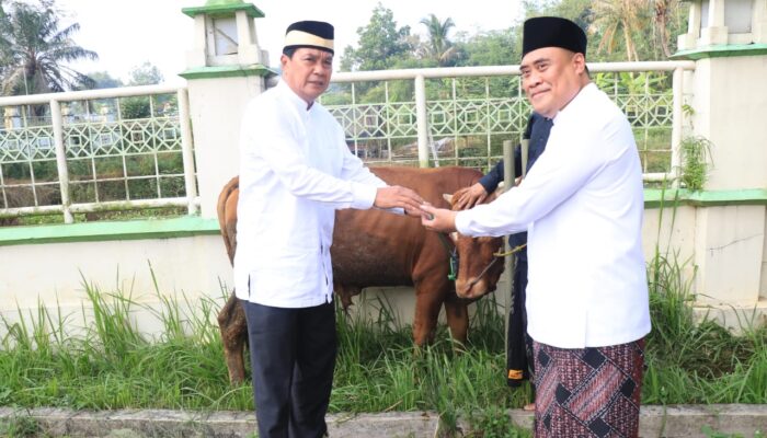 Sekda: Hari Raya Idul Adha Wujud Kebersamaan, Kesetiakawanan Sosial dan Saling Menolong