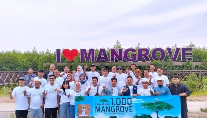 BPC HIPMI Kabupaten Tangerang Lakukan Gerakan Tanam 1000 Pohon Mangrove