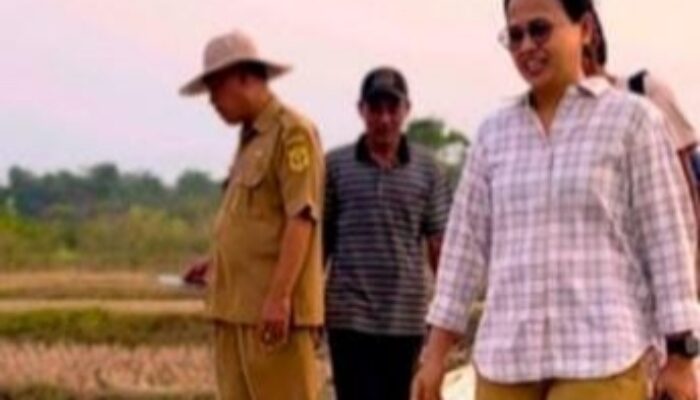 Realisasikan Program Samisade, Pemdes Singasari Bangun Infrastruktur
