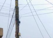 BK-LSM Lebak Minta Tim Siber Polda Banten Dan Mabes Polri Sidak RTRW Net Illegal di Lebak