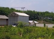 Warga Keluhkan Bau Menyengat Diduga Berasal dari Kandang Ayam tak tempuh perijinan