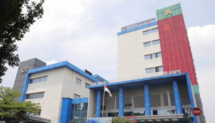 UHC Berikan Layanan Gratis Tahun 2024 Capai 100,46 Persen
