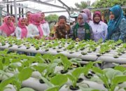 Kampung Tematik Kota Tangerang Diapresiasi Menteri PPPA