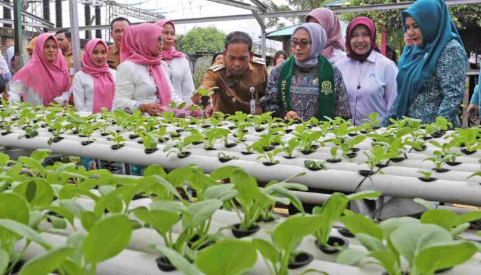 Kampung Tematik Kota Tangerang Diapresiasi Menteri PPPA