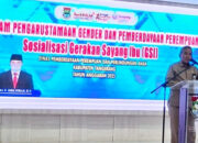 DPPPA Kabupaten Tangerang Sosialisasikan “Gerakan Sayang Ibu” Menuju Generasi Emas 2045