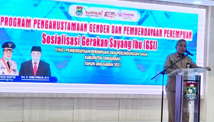 DPPPA Kabupaten Tangerang Sosialisasikan “Gerakan Sayang Ibu” Menuju Generasi Emas 2045