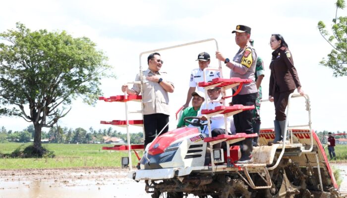Tanam Padi Serentak di Kabupaten Tangerang: Targetkan 2,8 Juta Ton Beras untuk Ketahanan Pangan Nasional