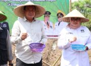 Pemkab dan Polresta Tangerang Sinergi Kuatkan Ketahanan Pangan dengan Gerakan Tanam Jagung Hibrida