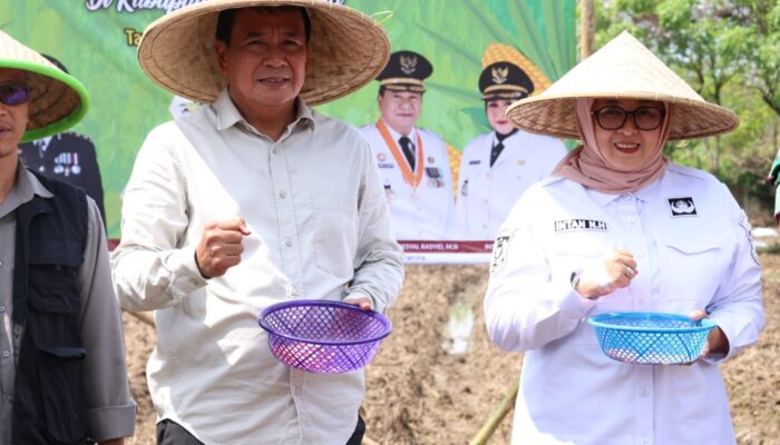Pemkab dan Polresta Tangerang Sinergi Kuatkan Ketahanan Pangan dengan Gerakan Tanam Jagung Hibrida