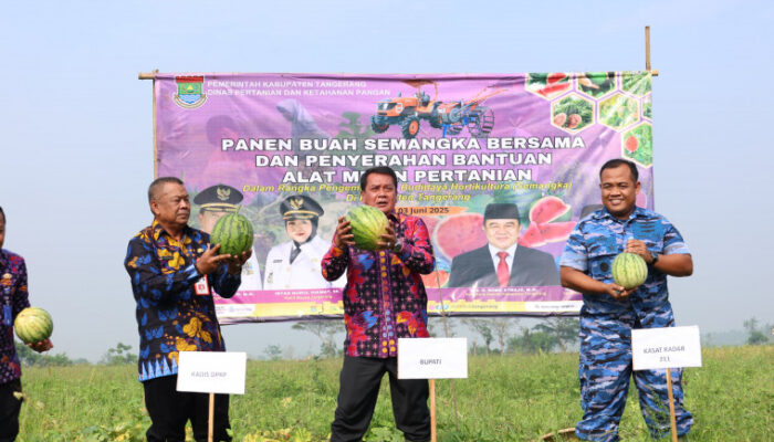 Panen Raya Semangka di Mauk, Bupati Tangerang Wujudkan Mimpi Petani Lewat Alsintan