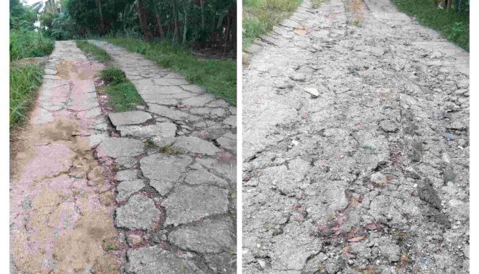Warga Cihara Desak Perbaikan Jalan Rusak Parah, Akses Menuju Sekolah dan Pesantren Terancam Bahaya