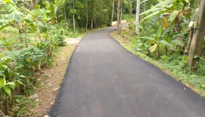 Jalan Desa Bendungan Rampung Diaspal, Warga Nikmati Akses Lebih Lancar