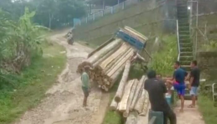 Jalan Desa Pasir Nangka Rusak Bertahun-Tahun, Truk Pengangkut Kayu Terperosok