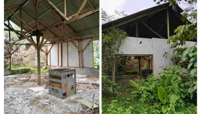 Polemik BUMDes Pasindangan, Ketua LSM GMBI Distrik Lebak Angkat Bicara