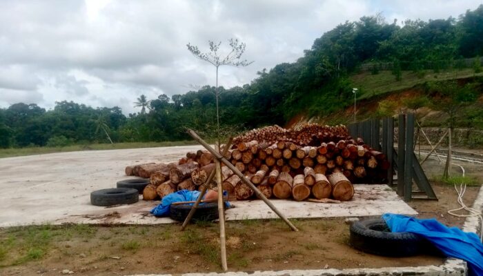 Diduga Intimidasi Dua Wartawan dan Ormas, CV Sinarjaya Muliya Agung Dikecam Keras oleh Badak Banten