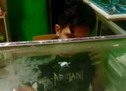 Toko Diduga Jual Obat Keras di Jatiluhur Kembali Beroperasi, Warga Resah dan Pertanyakan Ketegasan Aparat