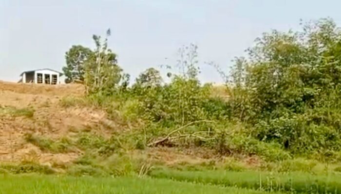 LSM GMBI Lebak Terima Aduan Dugaan Pengrusakan Lahan oleh Pengusaha Peternakan Ayam di Cimarga