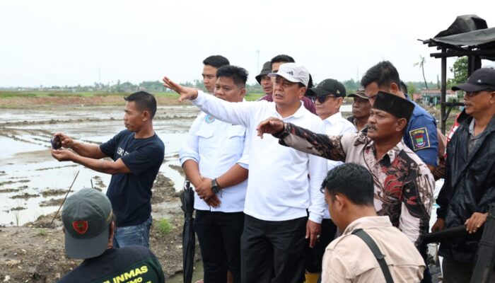 Respon Cepat! Bupati Tangerang Tinjau Langsung Banjir Desa Lemo Teluknaga