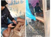 Warga Ciasem Tengah Resah, Dugaan Peredaran Tramadol Marak hingga Picu Rencana Aksi Demo