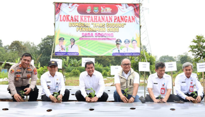 Bupati Tangerang Resmikan Greenhouse dan Panen Perdana Melon di Desa Sodong