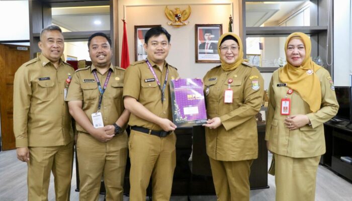 Wabup Tangerang Serahkan SK Kenaikan Pangkat 334 PNS dan Pelepasan 39 PNS Purna Bakti