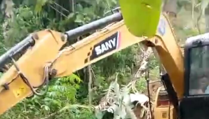 Diduga Diserobot Oknum Mantan Kades, Lahan Garapan KTH Akar Berkah di Sukamakmur Diratakan Alat Berat