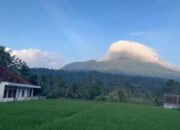 Bukan Sekadar Sawah, Cimanuk Adalah Lukisan Alam Pandeglang yang Hidup di Pagi Hari