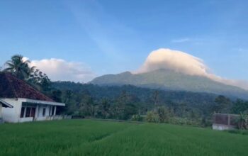 Bukan Sekadar Sawah, Cimanuk Adalah Lukisan Alam Pandeglang yang Hidup di Pagi Hari