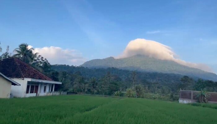 Bukan Sekadar Sawah, Cimanuk Adalah Lukisan Alam Pandeglang yang Hidup di Pagi Hari