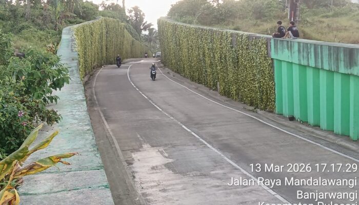 Sore Menawan di Jalan Mandalawangi–Banjarwangi, Jalur Strategis dengan Panorama Hijau yang Memikat